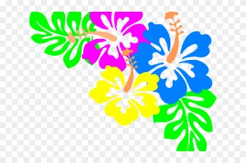 Hibiscus Clipart Rainbow - Hawaiian Flowers Border Png