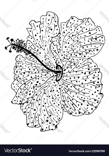 Hibiscus flower design vector image