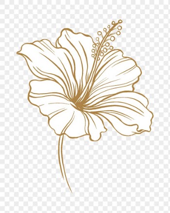 Hibiscus flower png tattoo art, | Free PNG Sticker - rawpixel