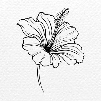 Hibiscus flower sticker, black vintage | Free PSD Illustration - rawpixel