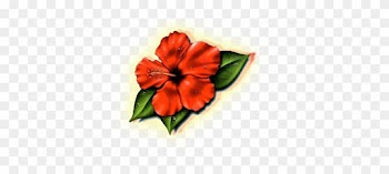 Hibiscus Flower Tattoos- High Quality Photos And Flash - Hibiscus Flower Tattoo