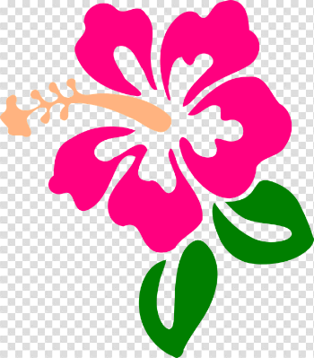 Hibiscus Flower Tropic - Free vector graphic on Pixabay