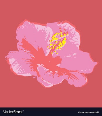 Hibiscus flower vector image