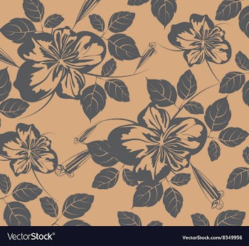 Hibiscus flowers vector image