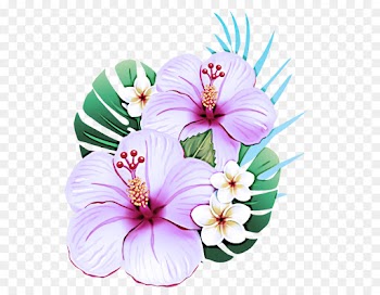 hibiscus hawaiian hibiscus flower pink petal