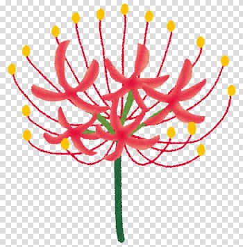 Higan Chofukujuji 読み聞かせ Botamochi book, flower transparent background PNG clipart