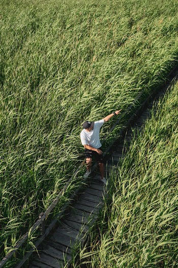 High-Angle Photo of a Man on a Pathway Surrounded by Plants