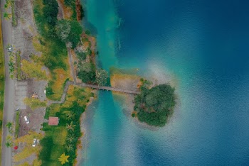 High Angle Photo of Body of Water and Trees
