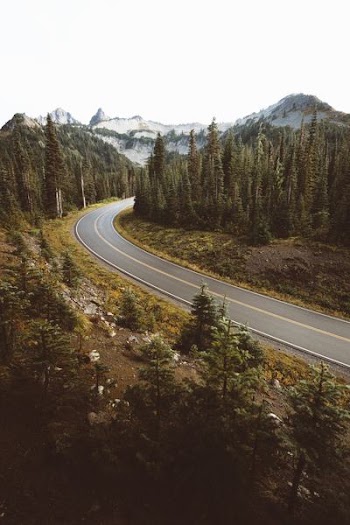 high angle photo of curve road surrounded with trees
