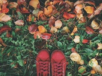 High Angle Photo of Person Wearing Red Sneakers
