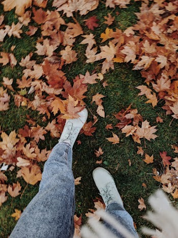 High-Angle Photo of Person Wearing Shoes