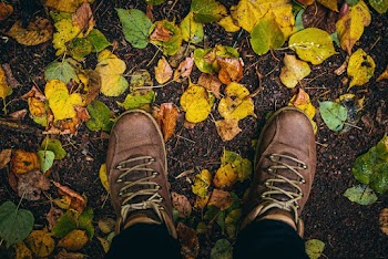 High-Angle Photo of Person Wearing Shoes