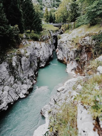 High Angle Photo of River Near Trees