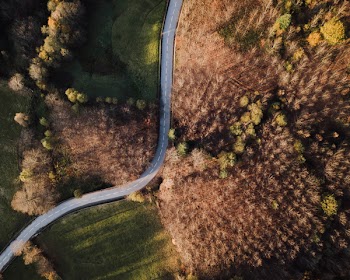 High-angle Photo of Road in Between Grass Fields