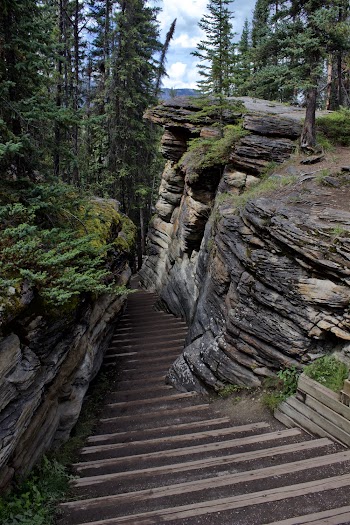 High Angle Photo of Stairway Near Trees