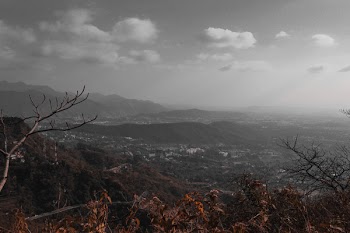 High-angle Photography of City