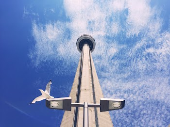 High-angle Photography of Gray Tower