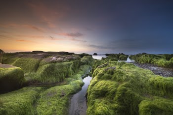 High-angle Photography of River Between Mountains