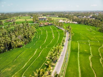 High Angle Photography Of Road And Green Grass Field