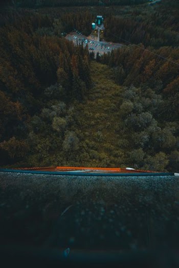 high-angle photography of trees in cable cart