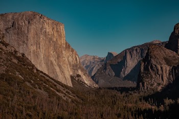 High-angle Photography Of Trees Near Mountain
