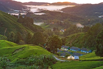 High Angle Photography of Village on Green Mountains