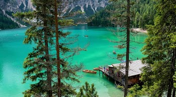 high angle photography of wooden boats on lake near cabin