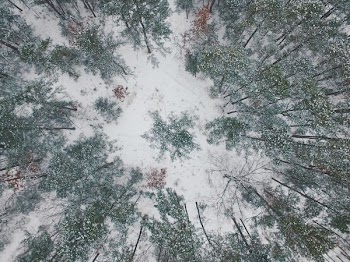 high-angle photography snow covered field with trees