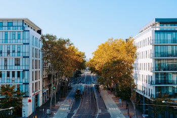 High Angle Shot Of A City Street Lined With Trees Between Two Modern Buildings