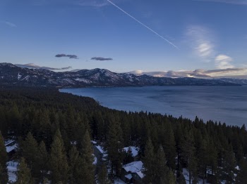 High Angle Shot of Trees