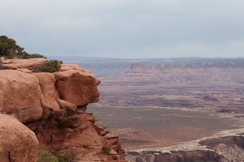 High Angle View of a Canyon and Desert