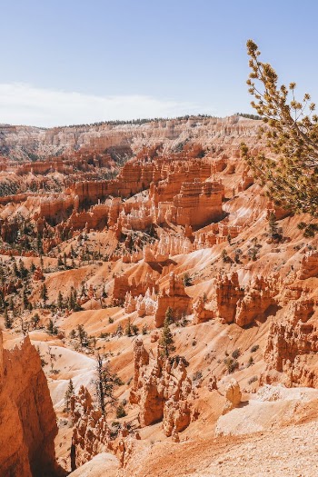High Angle View of a Canyon in Utah