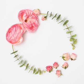 High angle view of peony flowers and rose buds with eucalyptus leaves Free Photo