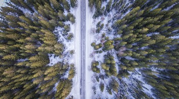 High Angle View of Trees Against Sky