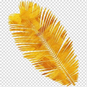 High-definition television Computer file, leaf transparent background PNG clipart