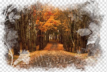 High-definition television Desktop Wide XGA, autumn transparent background PNG clipart