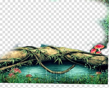 High-definition television High-definition video 1080p , Forest Lawn transparent background PNG clipart