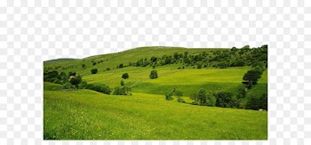 High-definition television Nature 1080p Wallpaper - Nature Free Download Png 