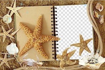 High-definition television Starfish High-definition video 1080p , Mood Frame transparent background PNG clipart