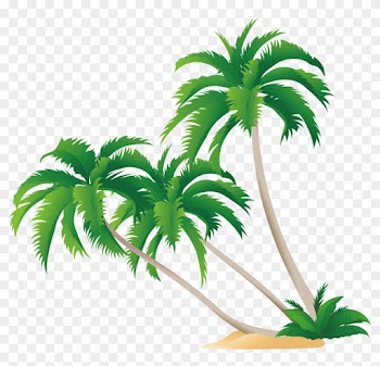 High-definition Video Display Resolution Wallpaper - Palm Tree Free Vector Png