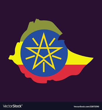 High detailed map - ethiopia vector image
