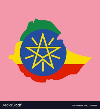 High detailed map - ethiopia vector image