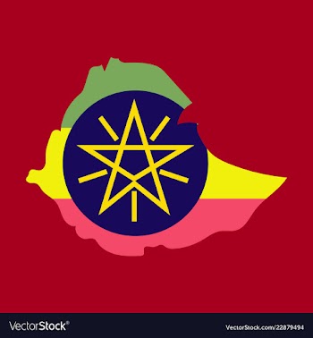High detailed map - ethiopia vector image