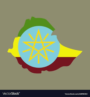 High detailed map - ethiopia vector image