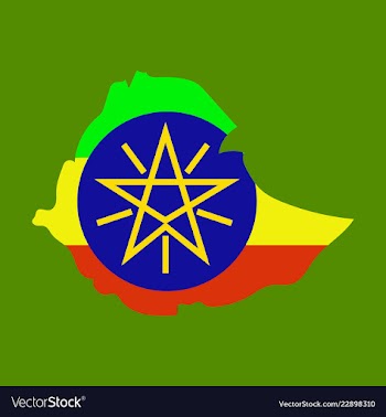 High detailed map - ethiopia vector image