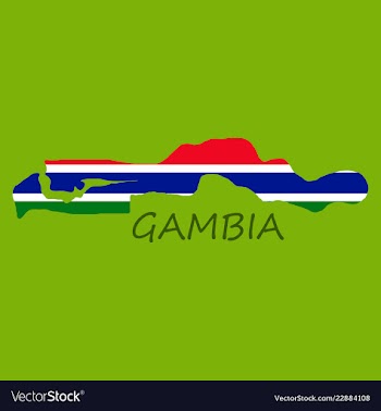 High detailed map of gambia eps 10 vector image
