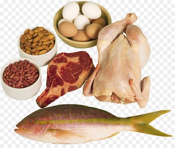 High-protein diet Food Eating - non-veg food 