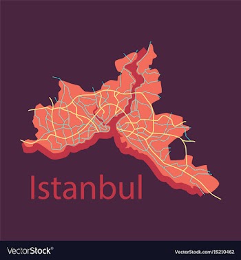 High quality map of istanbul flat with borders of vector image