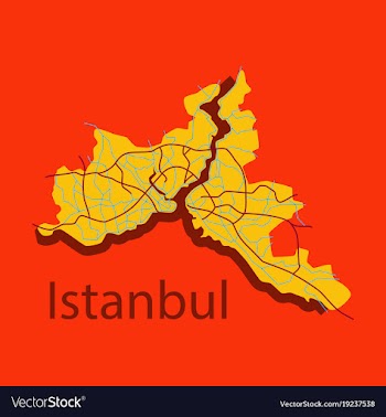 High quality map of istanbul flat with borders of vector image