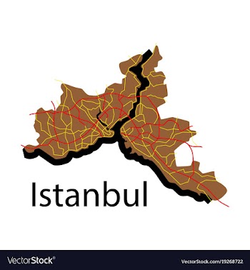 High quality map of istanbul flat with borders of vector image
